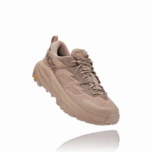 Hoka One One KAHA LOW GORE-TEX Hiking Shoes For Women India Grey IN-6293